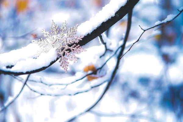 Flocon de neige de Noël sur la branche enneigée . — Photo