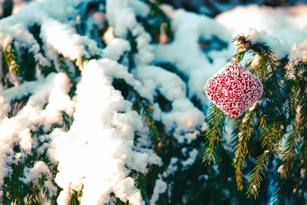 Χριστουγεννιάτικα στολίδια στο χιονισμένο κλαδί. — Φωτογραφία Αρχείου