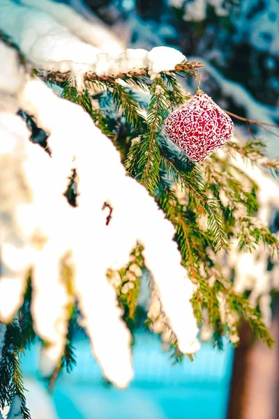 Bola de Navidad en la rama nevada . — Foto de Stock