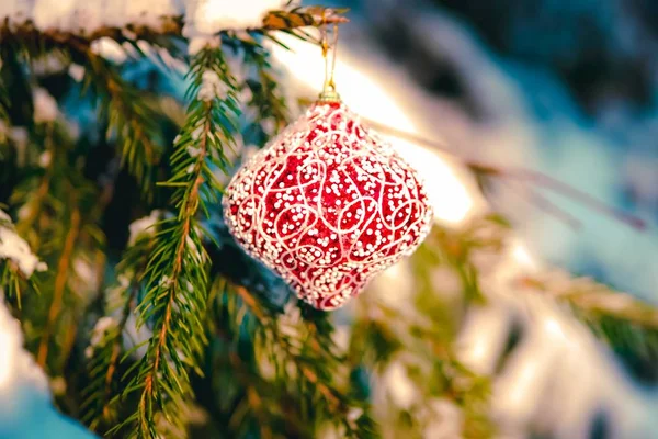 Julgranskula på den snöiga grenen. — Stockfoto