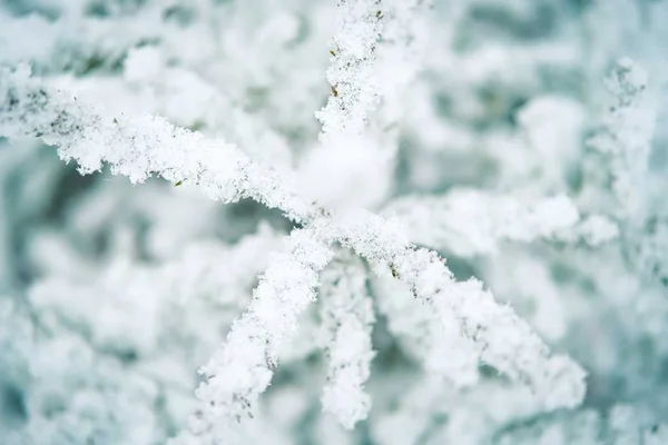 冬雪背景 — 图库照片