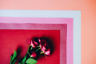 Geometrik Renkli Kağıt Arkaplanı