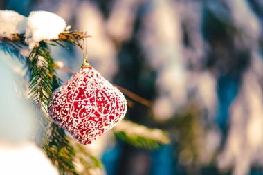 Karlı dalda Noel mücevheri.