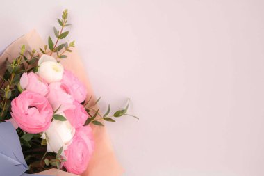 açık pembe ranunculus mavi arkaplanda