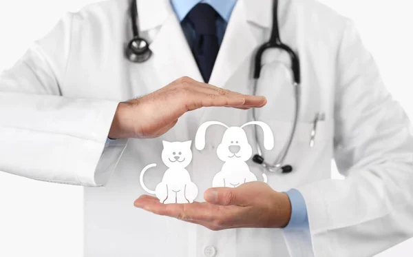 Κτηνιατρικός γιατρός χέρια με εικόνες ζώων. ΚΤΗΝΙΑΤΡΙΚΗ ΚΛΙΝΙΚΗ — Φωτογραφία Αρχείου