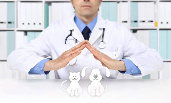Veterinärmedicinska läkare händer med animaliskt ikoner. Veterinärkliniken — Stockfoto