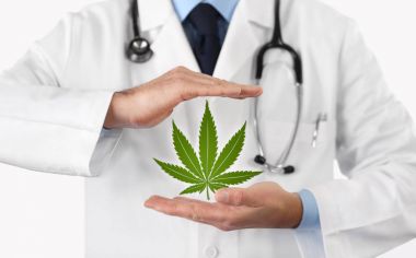 Doktor elleri marihuana sembolüyle Tıbbi konseptle