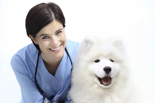 Sorridente Veterinário examinando cão na mesa na clínica veterinária — Fotografia de Stock