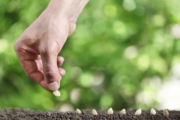 Hand sowing seeds in the vegetable garden soil, close up on gree — Stock Photo, Image