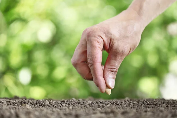 Hand sowing seeds in the vegetable garden soil, close up on gree — Stock Photo, Image