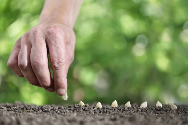 Hand sowing seeds in the vegetable garden soil, close up on gree — Stock Photo, Image