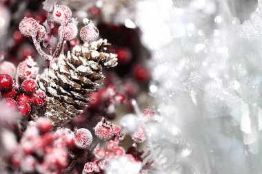 Noel pinecones ve holly berry kapat