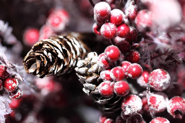 Christmas pinecones and holly berry close up — Stock Photo, Image
