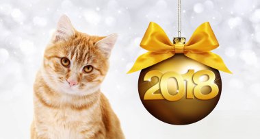 zencefil kedi ve altın Noel top şerit yay ile 