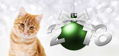 kedi ve yeşil Noel top şerit yay ile zencefil