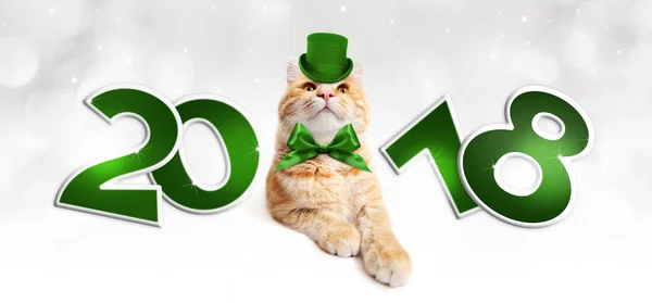 2018 tekst z Boże Narodzenie magii imbir cat z zielonych kapeluszy — Zdjęcie stockowe