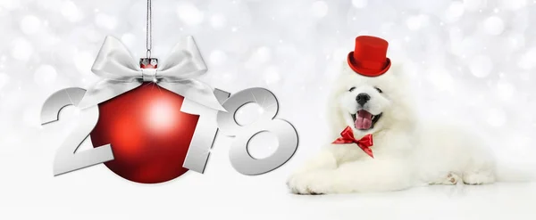 Texto 2018 con bola de Navidad y magia divertida perro con sombrero rojo — Foto de Stock