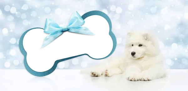 Perro mascota con forma de hueso de tarjeta de regalo en blanco aislado en Navidad bl — Foto de Stock