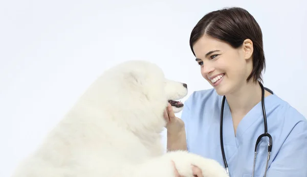 Diergeneeskundig onderzoek hond dierenarts geïsoleerd op whit glimlachen — Stockfoto