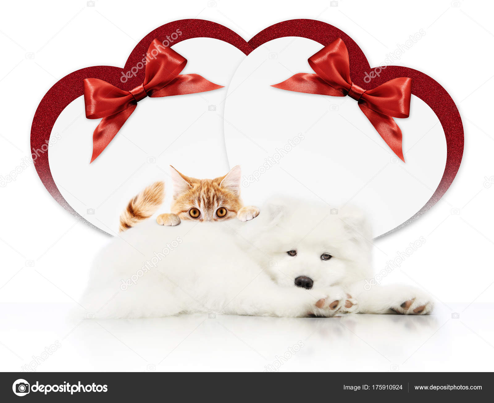 Valentine gift card or pets store signboard with cat and dog tog