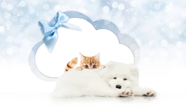 pets store signboard with cat and dog together cloud shape and b