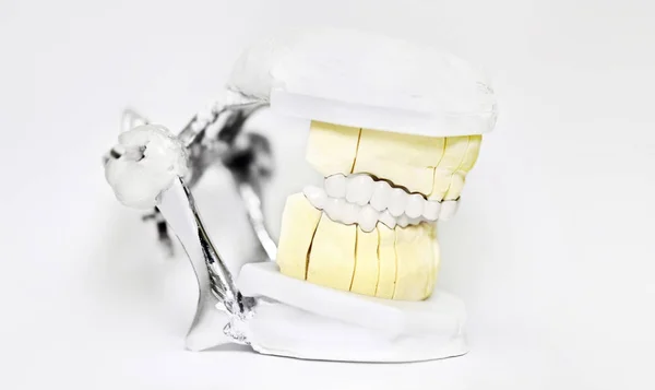 Articulador dental aislado sobre fondo blanco, técnico dentista —  Fotos de Stock