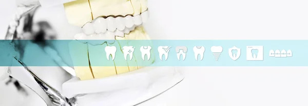 Herramienta articuladora de concepto técnico dental con iconos de dientes y —  Fotos de Stock
