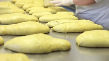 pasta şefi Paskalya kek güvercinler için hamur hazırlama eller