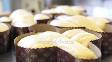 Paskalya kek güvercinler, kaydırma için hamur mayalanma pasta