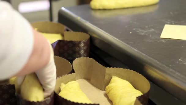 糕点厨师手准备复活节蛋糕鸽的面团 — 图库视频影像