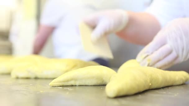 糕点厨师手准备复活节蛋糕鸽的面团 — 图库视频影像