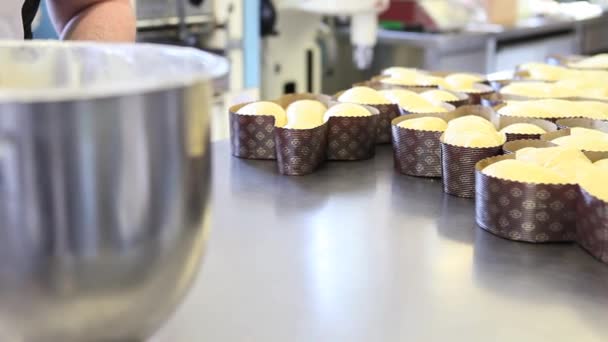 Konditor Reicht Puderteig Für Osterkuchen Tauben — Stockvideo