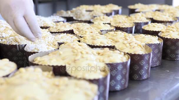Chef Pastelaria Mãos Polvilhando Açúcar Massa Para Pombas Bolo Páscoa — Vídeo de Stock