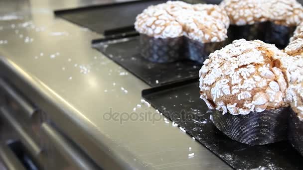 Paneo Tortas Pascua Palomas Pastelería Encimera Cerca — Vídeo de stock