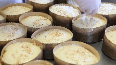 Kek pasta Şef eller üzerinde hamur Paskalya sweet için pudra şekeri yağmurlama ekmek