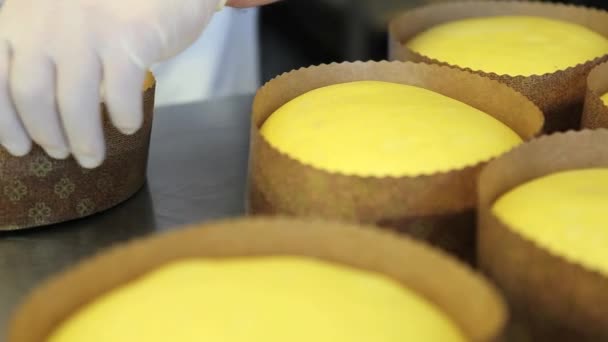 Pastry Chef Hands Icing Dough Easter Sweet Bread Cakes — Stock Video