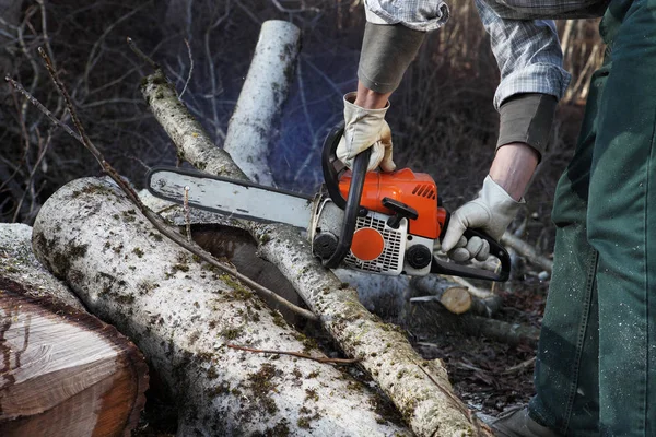 Madera aserrada usando motosierra cortando grandes árboles durante el clo de otoño — Foto de Stock