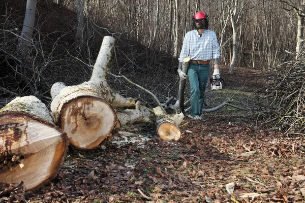 Madera aserrada usando motosierra cortando grandes árboles durante el otoño wea — Foto de Stock