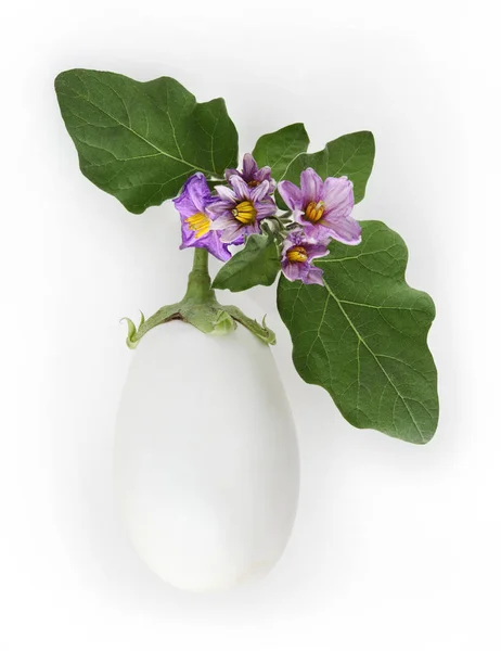 Berenjena blanca con flores y hojas aisladas sobre fondo blanco — Foto de Stock