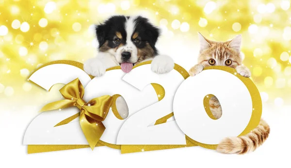 2020 feliz año nuevo número de texto, cachorro de perro y gato mascota con oro — Foto de Stock