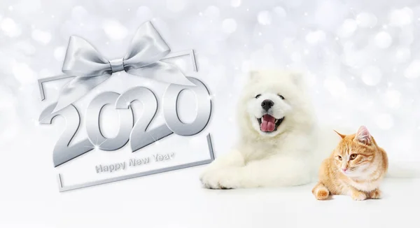 2020 feliz año nuevo número de texto, cachorro de perro y gato mascota con silv — Foto de Stock