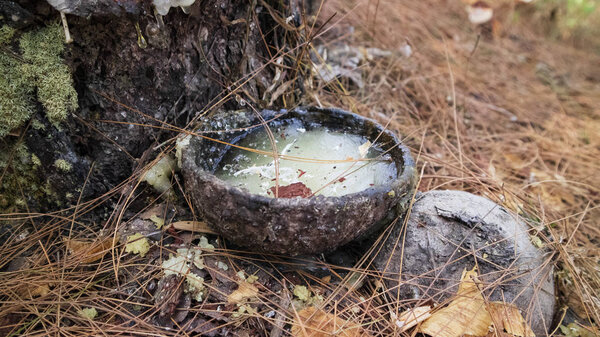 Pine sap is the main ingredient in making turpentine and other chemicals