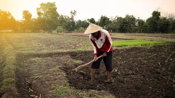 Ponorogo, Indonesia- 25 / 12 / 2019: Un agricoltore sta lavorando su terreni con zappa da piantare con riso entrando nella stagione delle piogge in modo — Foto Stock