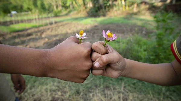 Duas mãos foto de amizade segurando flores — Fotografia de Stock
