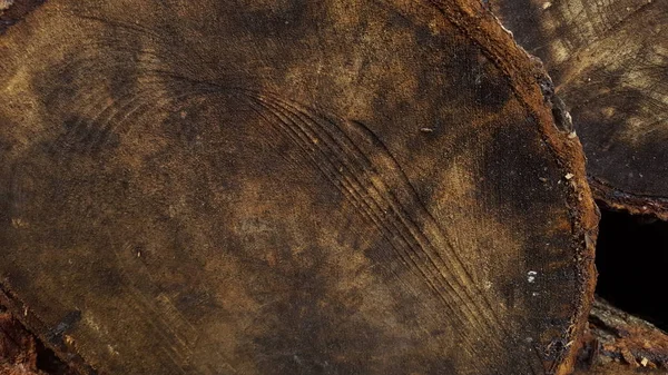 Perímetro de madeira com textura castanha natural, adequado para utilização como imagens de fundo ou recursos gráficos — Fotografia de Stock