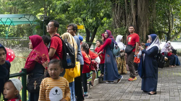 Surakarta Giava Centrale Indonesia 2020 Alcune Persone Vedono Animali Uno — Foto Stock
