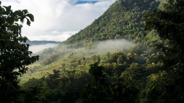 Sabah olmadan hafif sisli dağ yamaçları