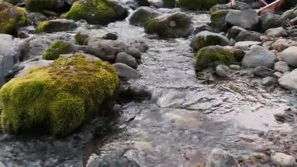 堪察加半岛的秋季景观 — 图库视频影像