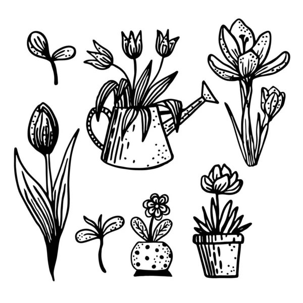 Jardim conjunto de flores de vetor preto e branco desenhado à mão em estilo Doodle —  Vetores de Stock