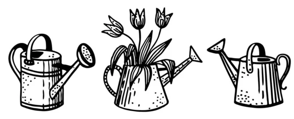 Black and White Vector Set of Flowers and Watering Cans Hand Drawn in Doodle Style — Stock Vector